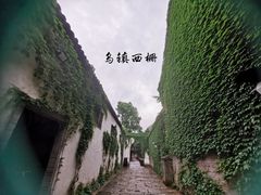 -乌镇景区