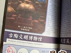 -古陶文明博物馆