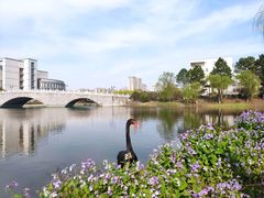 -江南大学(蠡湖校区)