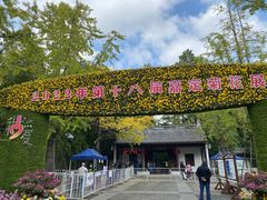 -汇龙潭