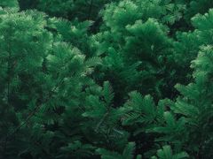 -南京晨光1865创意产业园