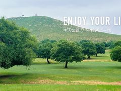 -五角枫生态旅游景区