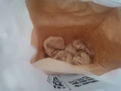 -小胖包子王(光明楼店)