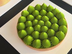 抹茶挞-猫里有甜