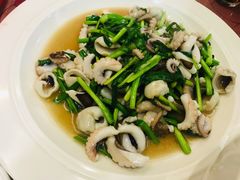 韭菜炒八爪鱼-付家庄小渔村(香周路店)