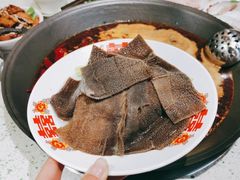 厂长鲜毛肚-龙厂长老火锅(抚琴店)