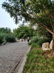 -大望京儿童游乐场