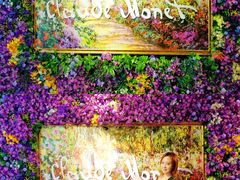 -印象莫奈时光映迹艺术展