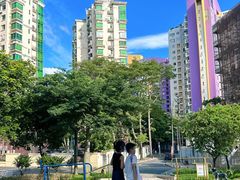 -景田北六街公园宠物主题园