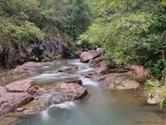 -广州白江湖森林公园