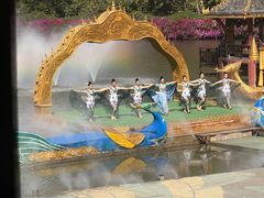 -西双版纳原始森林公园