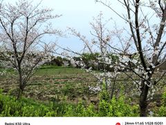 -广富林郊野公园