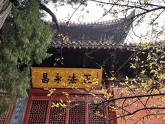 -洛阳白马寺