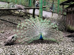 -藏龙百瀑风景区