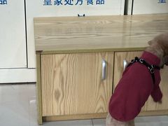 -芭比堂动物医院(广州爱宠下渡路分院)