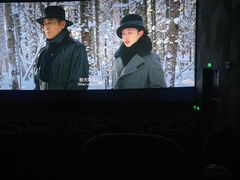 -龙之星国际影城(太平店)