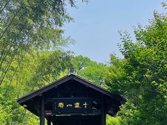 -东明山森林公园