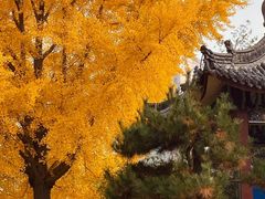 -迎泽公园