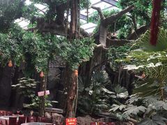 -老山东·山东菜(鲁菜名店)