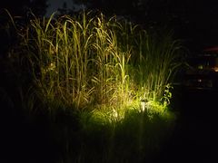 -木守西溪溪隐餐厅