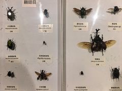 -中国湿地博物馆