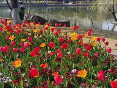 -杭州师范大学(下沙校区)