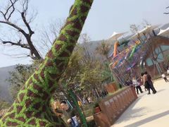 -苏州乐园森林水世界