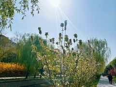 -元大都城垣遗址公园