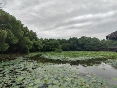 -兰亭风景区