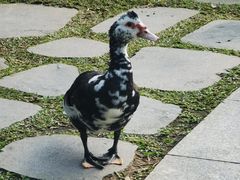 -云溪植物园
