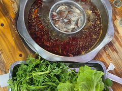 -金鼎雪山牦牛杂火锅(理县总店)