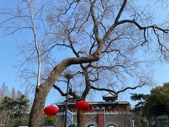 -南京市规划建设展览馆