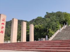 -铁山坪森林公园