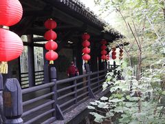 -大唐贡茶院