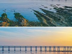 -星海湾跨海大桥