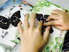 -上海昆虫博物馆