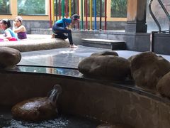 -御池园(顾村公园店)