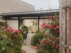 -南紀白浜 浜千鳥の湯 海舟