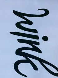 -时尚工厂·科学染发