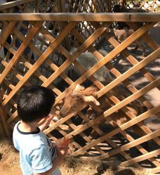 -萌宠亲子动物乐园(槐房万达店)