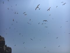 景点-海驴岛(荣成市)