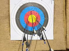 -蓝天射箭馆·专业射箭运动(诚丰广场店)