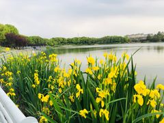 -美兰湖景区