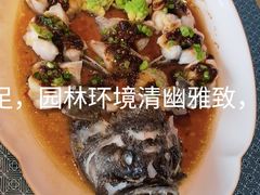 -荔湾湖公园