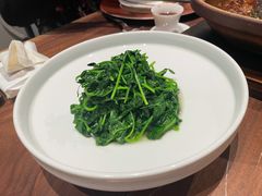 素炒豌豆尖-柿合缘新京菜(国金中心商场店)
