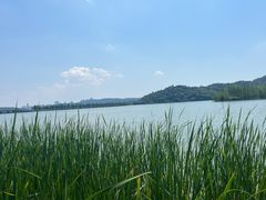 -东湖落雁景区
