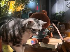 -咖法森林·咖啡  酒吧(天河店)