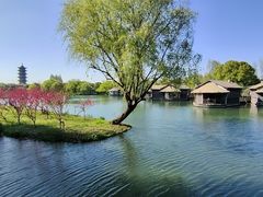 -乌镇景区