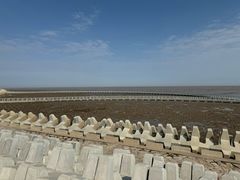 -南汇嘴观海公园