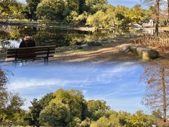 -上海共青森林公园